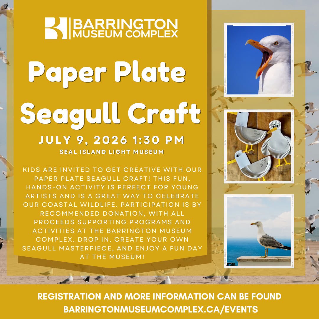 Paper Plate Seagull Craft