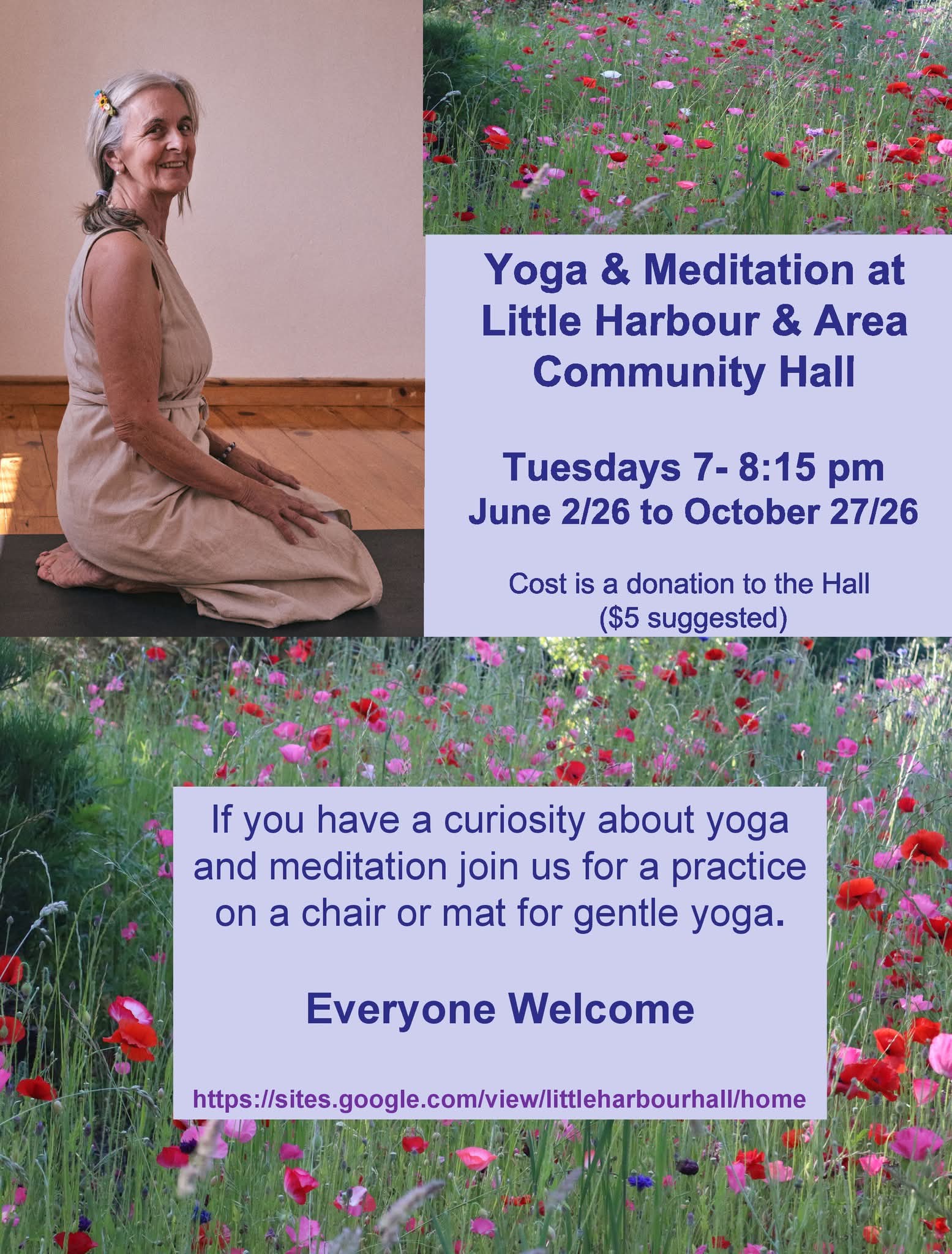 Gentle Yoga and Meditation